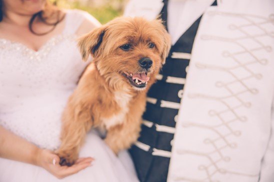 K&A_C_016